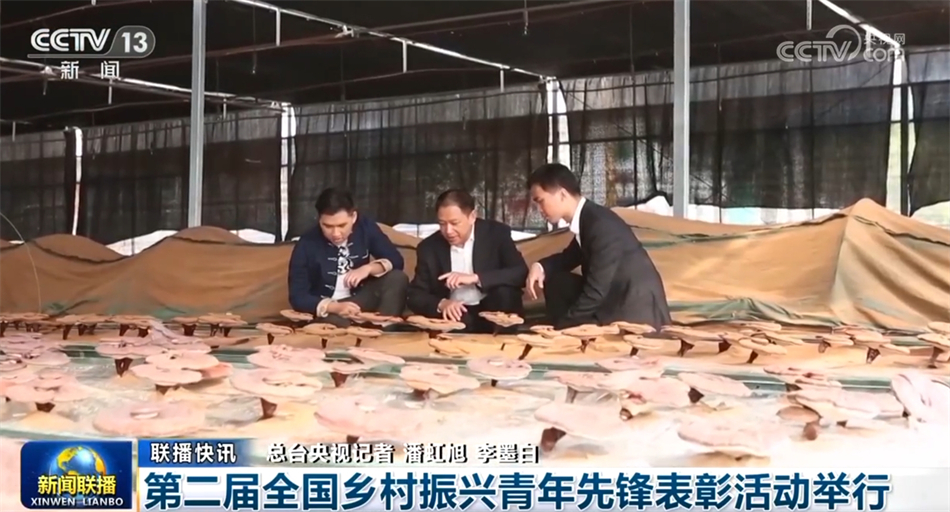 各行各业“撸起袖子加油干” 共绘中国经济高质量发展新画卷(图12)