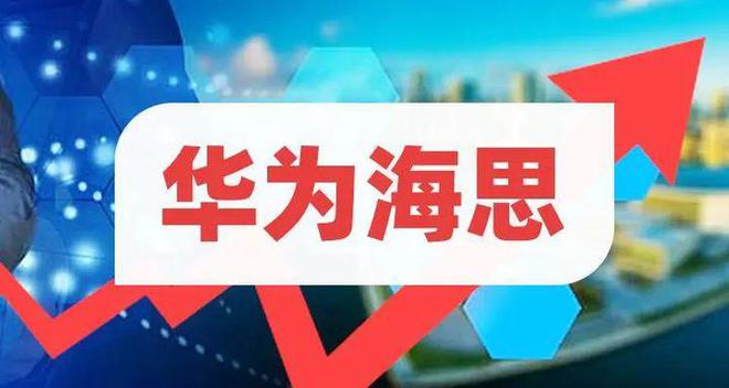 国产的有哪些主要的芯片公司？(图4)