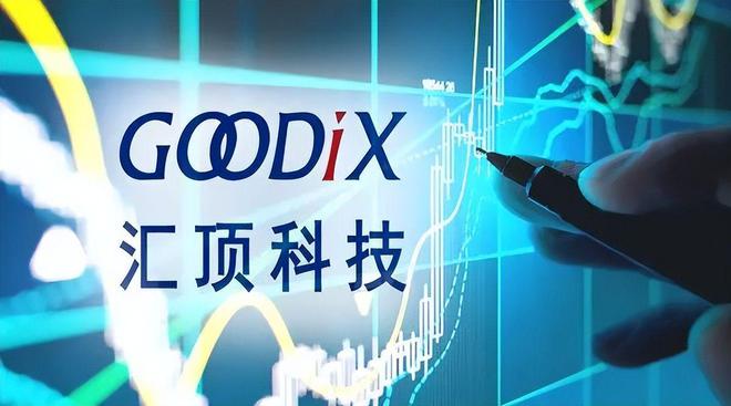 国产的有哪些主要的芯片公司？(图7)