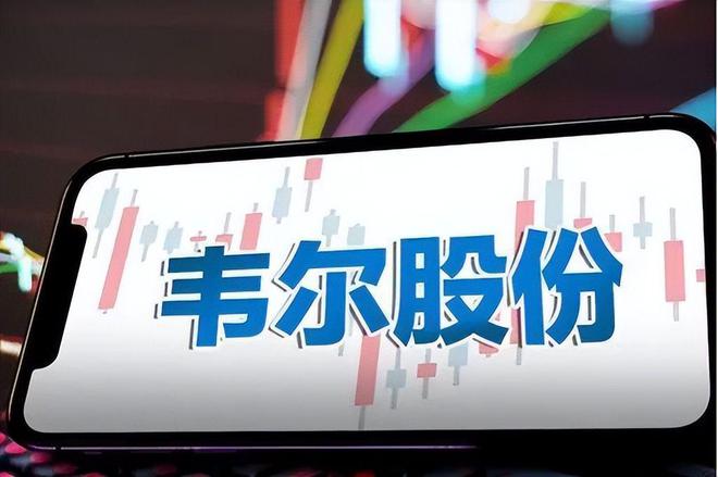 国产的有哪些主要的芯片公司？(图8)