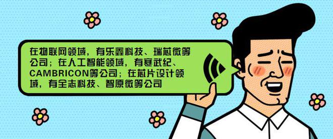 国产的有哪些主要的芯片公司？(图9)