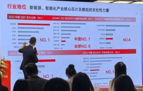 比亚迪半导、方正微电子、芯联集成领衔！国产SiC突破主驱芯片国产替代起步(图5)