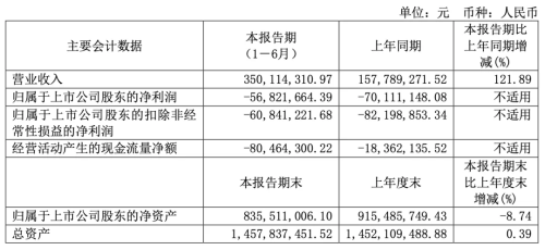 国产MCU厂商半年报分析：业绩全面向好但价格战压力犹在(图2)
