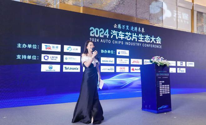 2024汽车芯片生态大会圆满落幕：共谋汽车芯片国产化新纪元！(图9)