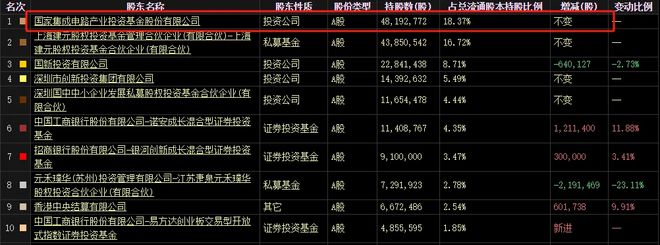 300亿资金回归国产芯片独角兽苦尽甘来！(图10)