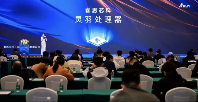 睿思芯科：中国首款全自研RISC-V服务器芯片(图1)