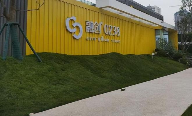 看到了孙宏斌的现状才知道俞敏洪到底有多聪明！(图6)