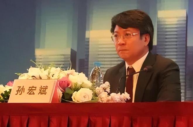 看到了孙宏斌的现状才知道俞敏洪到底有多聪明！(图9)