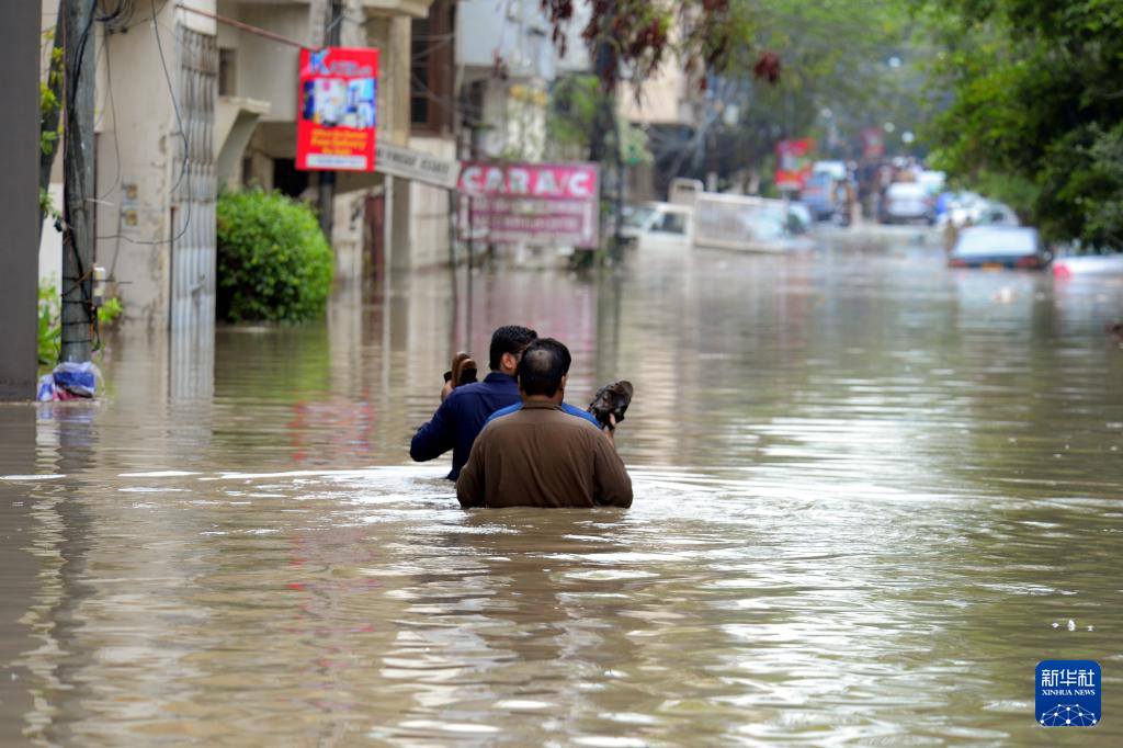巴基斯坦季风暴雨已致706人死亡(图3)