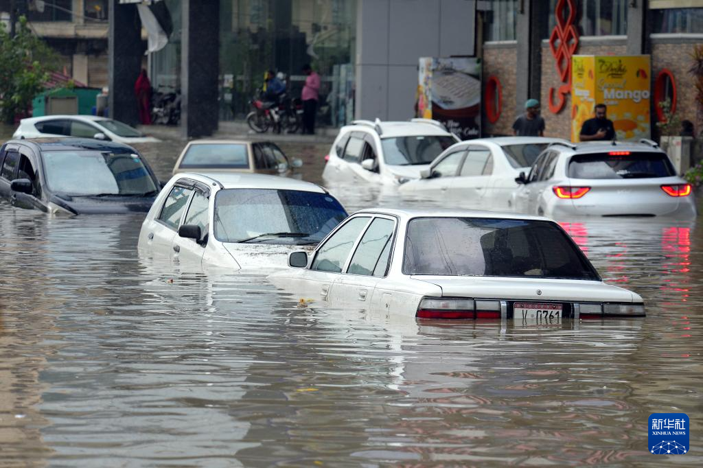 巴基斯坦季风暴雨已致706人死亡(图4)