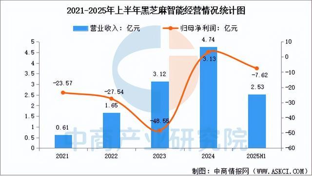 2025年中国汽车芯片行业市场前景预测研究报告(简版)(图11)