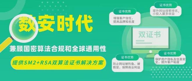 国密加密算法中的国密SSL证书在政务中的应用有哪些优势(图3)