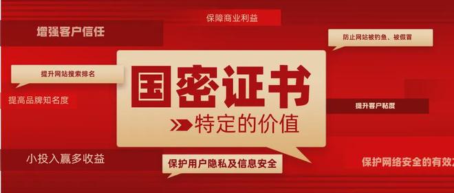 国密加密算法中的国密SSL证书在政务中的应用有哪些优势(图5)