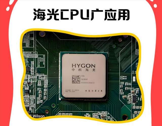 中国半导体“十强”崛起这些企业撑起国产芯片半边天(图3)
