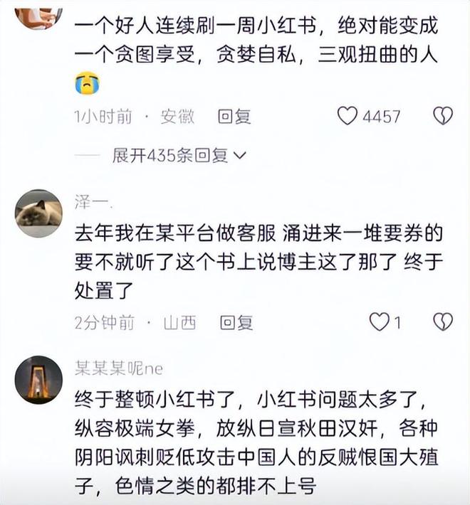 小红书被点名严惩真相曝光仇视父母、煽动对立只是冰山一角(图13)