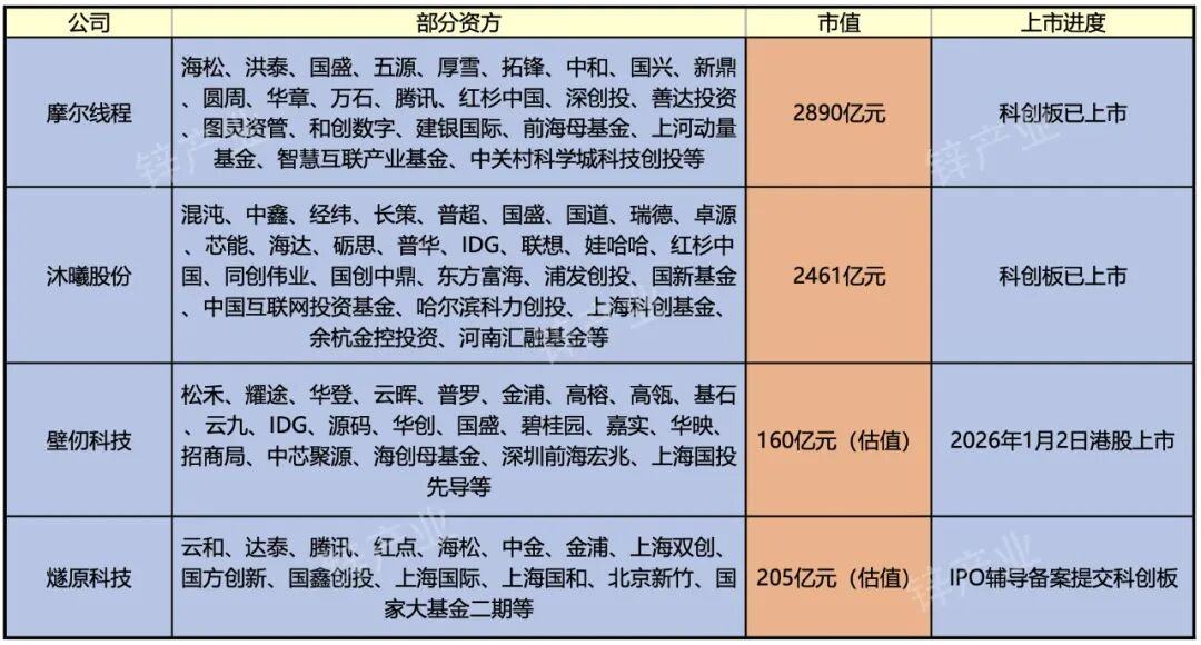 巨变2025：国产GPU集体冲线(图12)