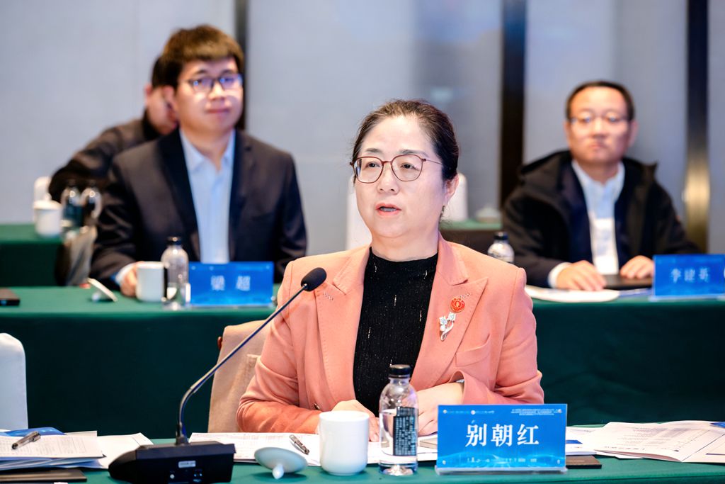 电工材料电气绝缘全国重点实验室第七届学术委员会第三次会议在西安召开(图5)